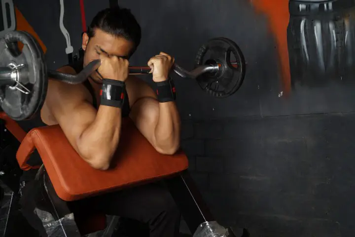 preacher curl alternative