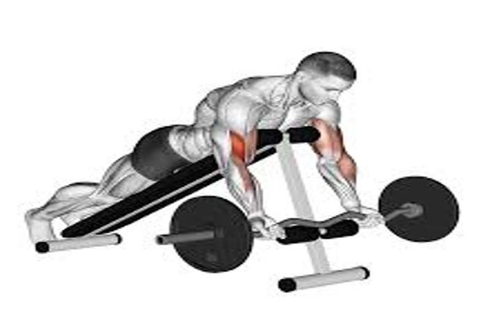 Preacher Curl Alternative