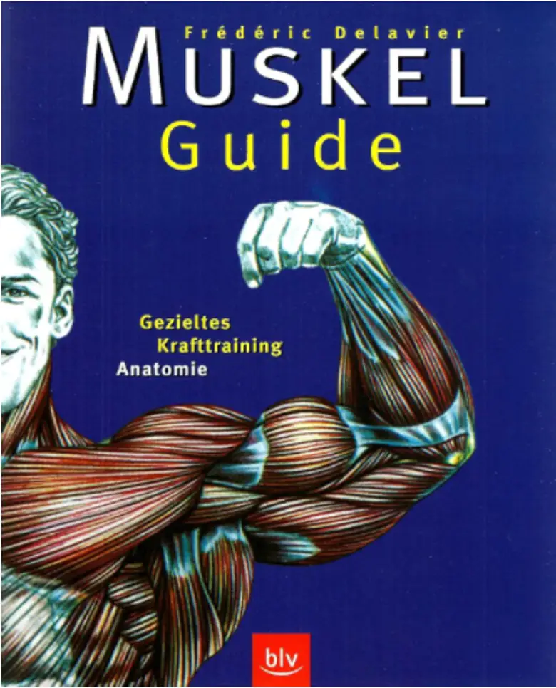 Muskel-Guide