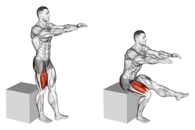 Single Leg Squat