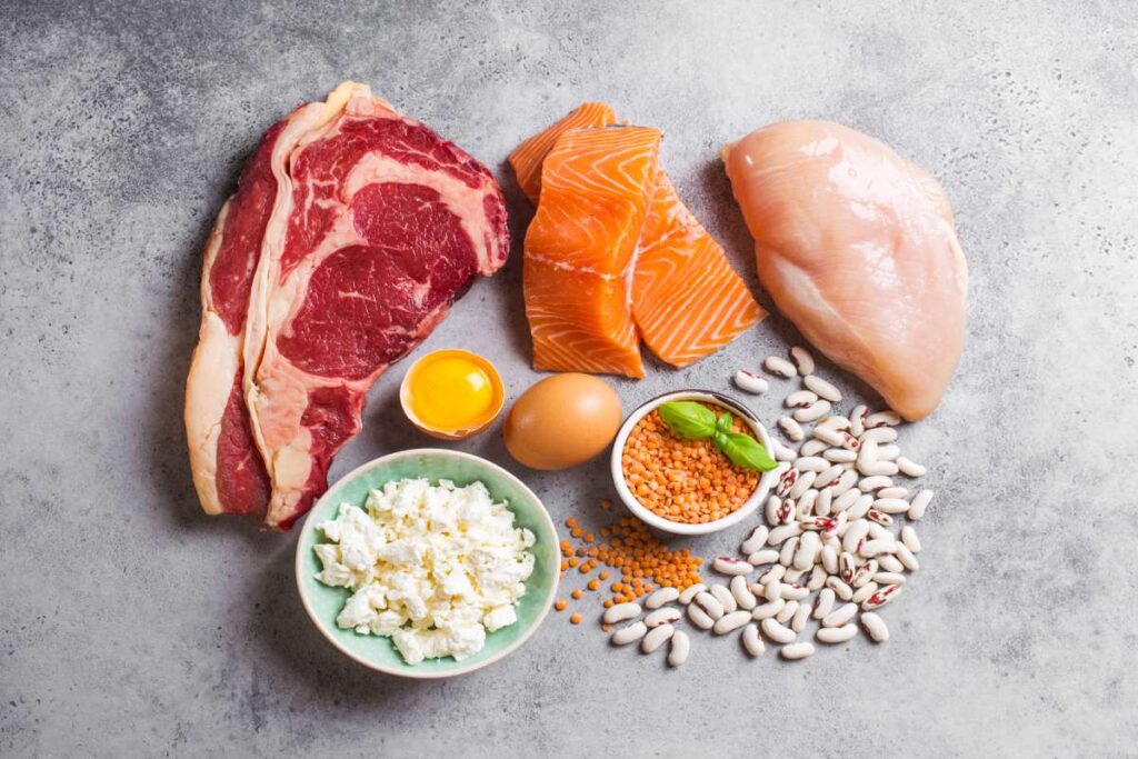 high protein foods fitness
