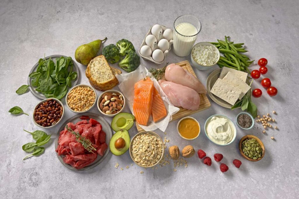 macronutrients infographic